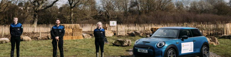 MINI volunteers planting sustainable Tiny Forests